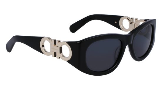 FERRAGAMO Sunglasses SF1082SN 1 53