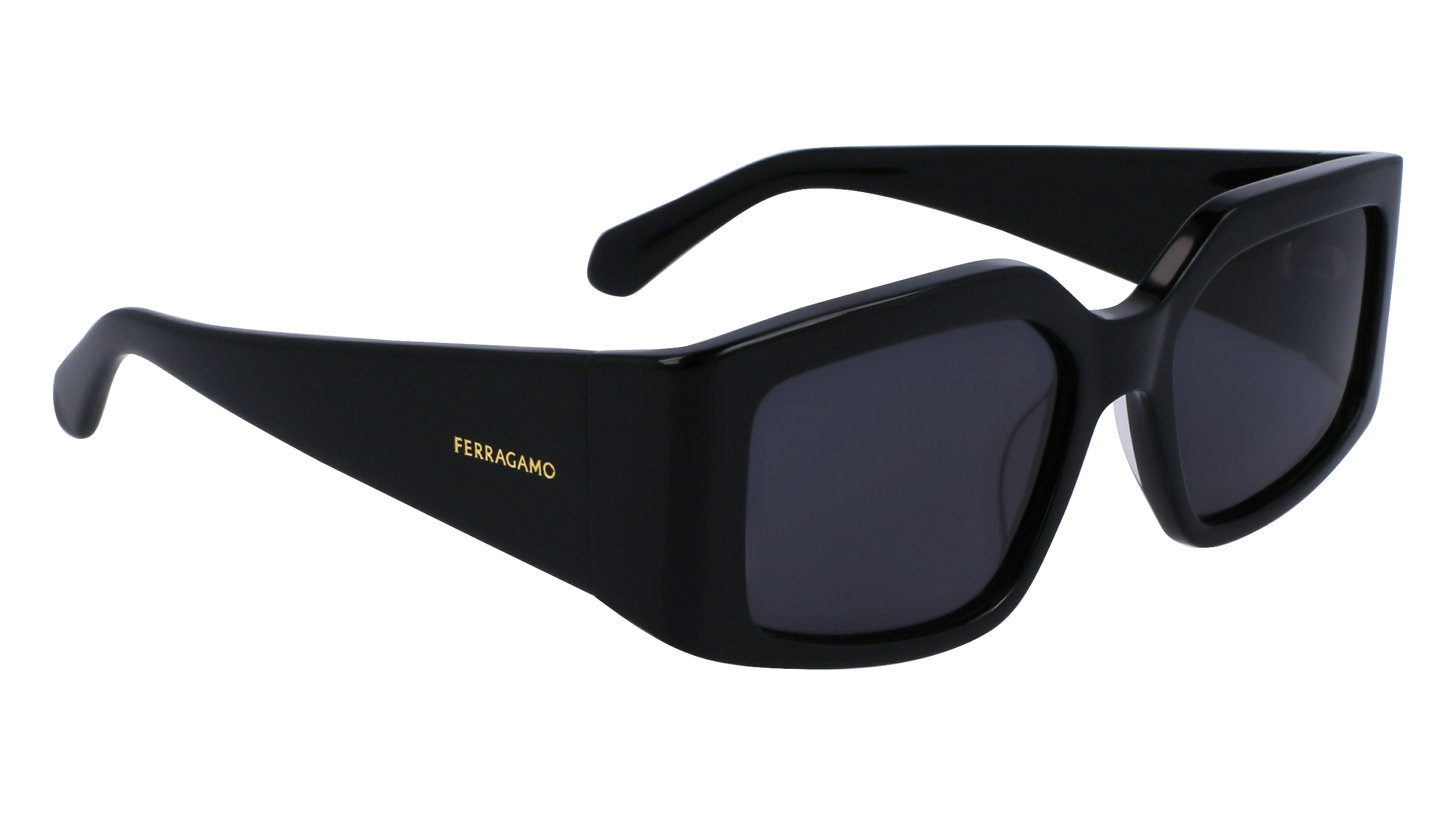 FERRAGAMO Sunglasses SF1101S 1 54