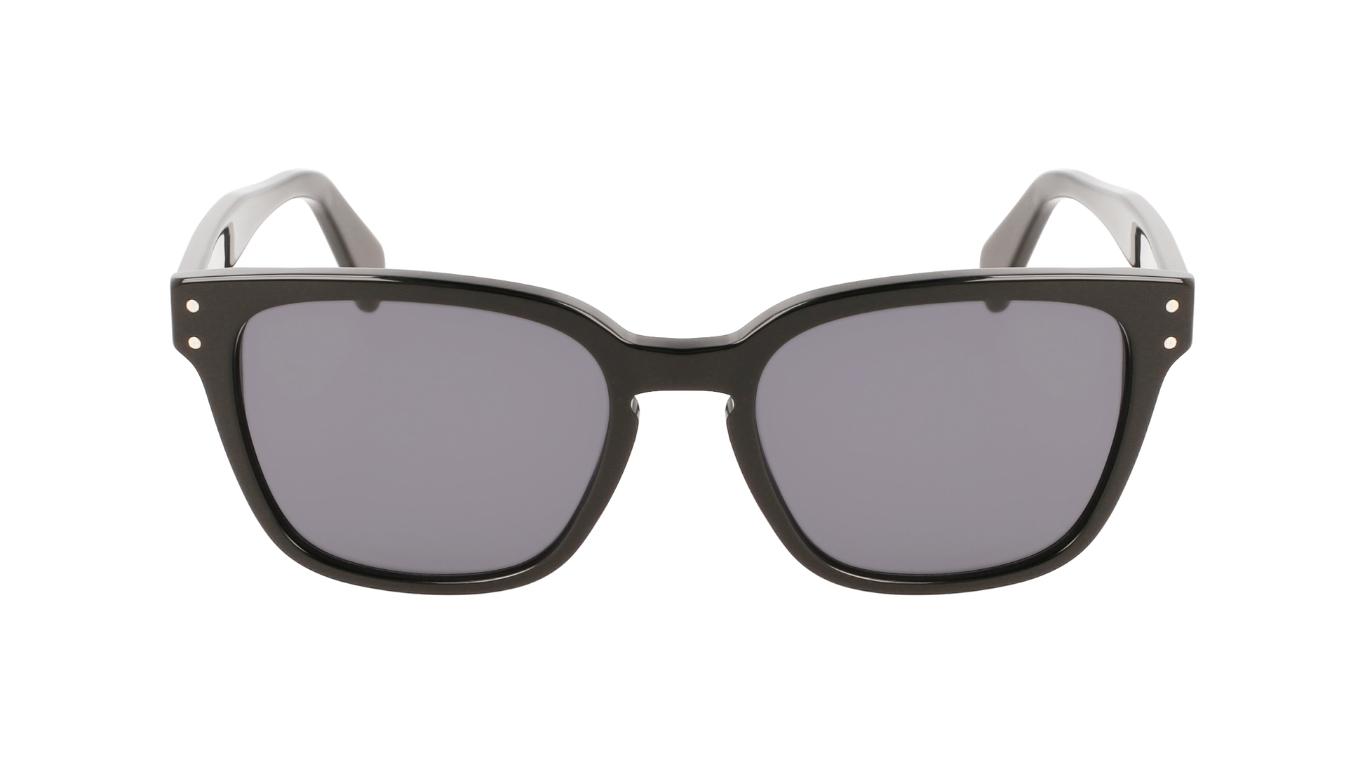 FERRAGAMO Sunglasses SF1040S 1 55