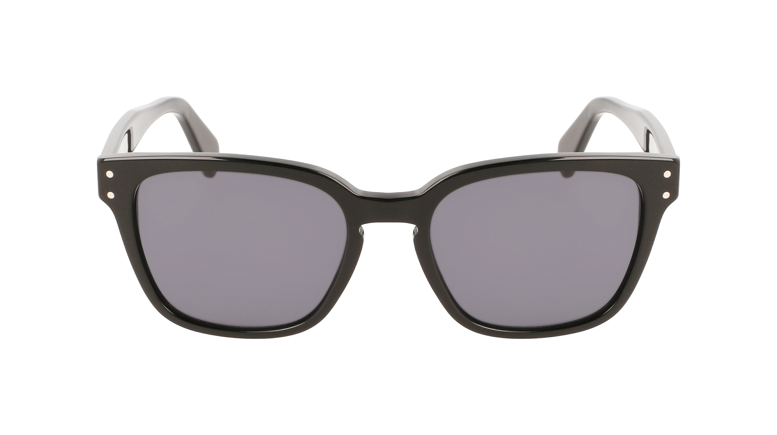 FERRAGAMO Sunglasses SF1040S 1 55