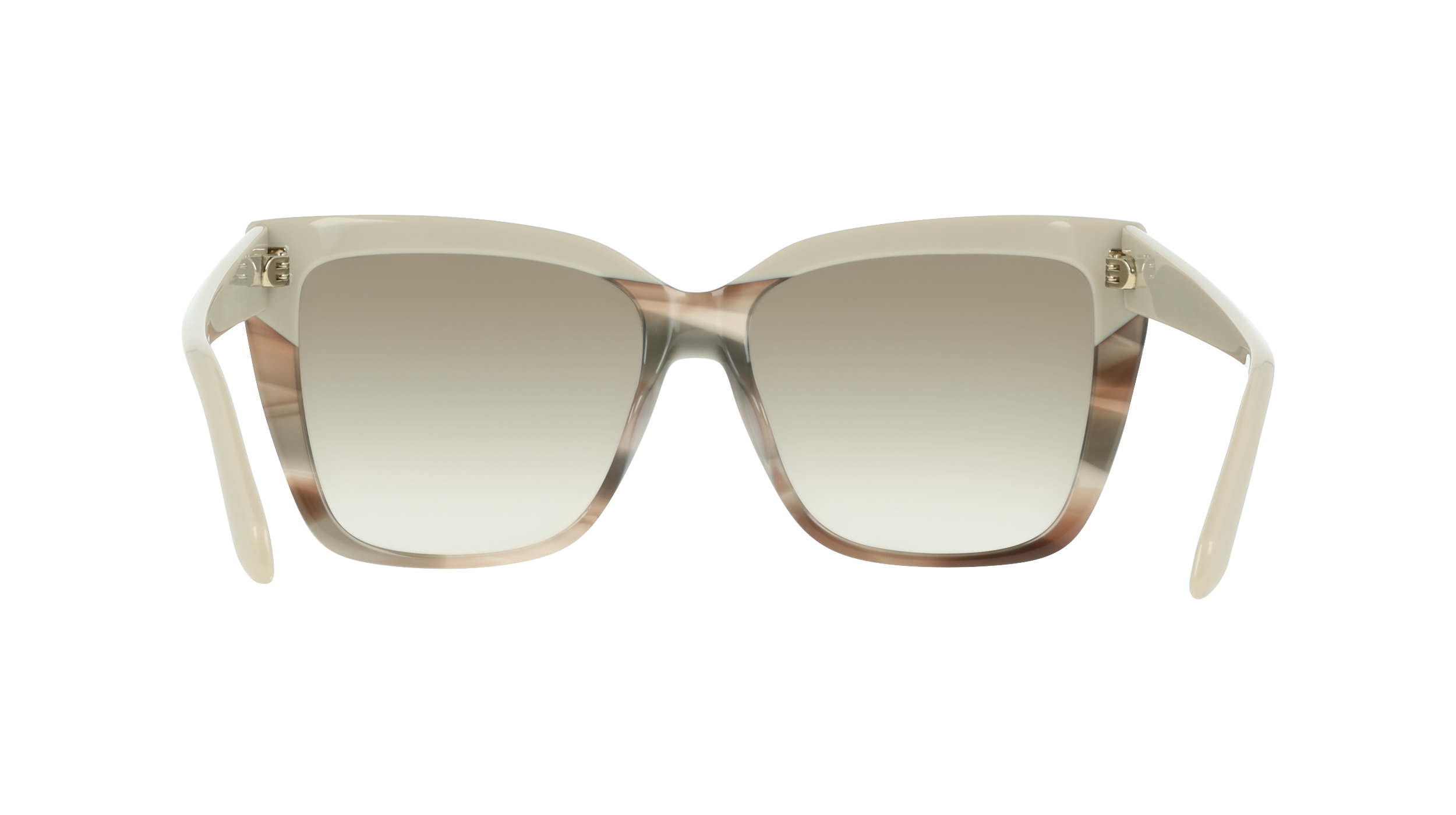 Ferragamo SF1102S 251