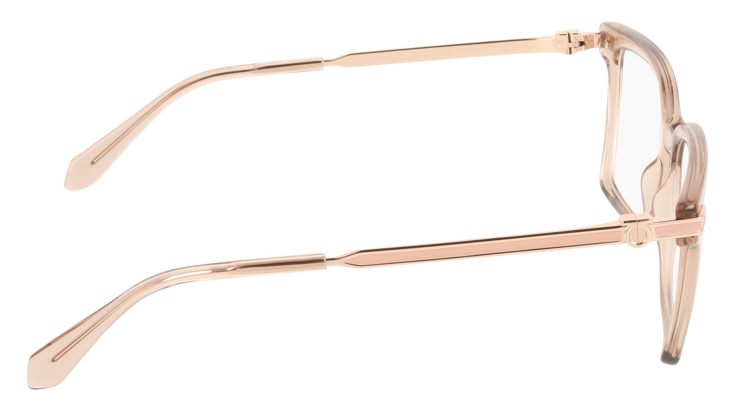 Ferragamo SF3039 667