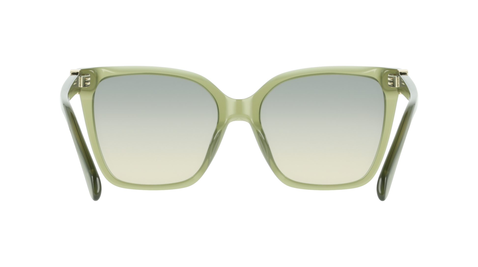 Ferragamo SF2121S 333