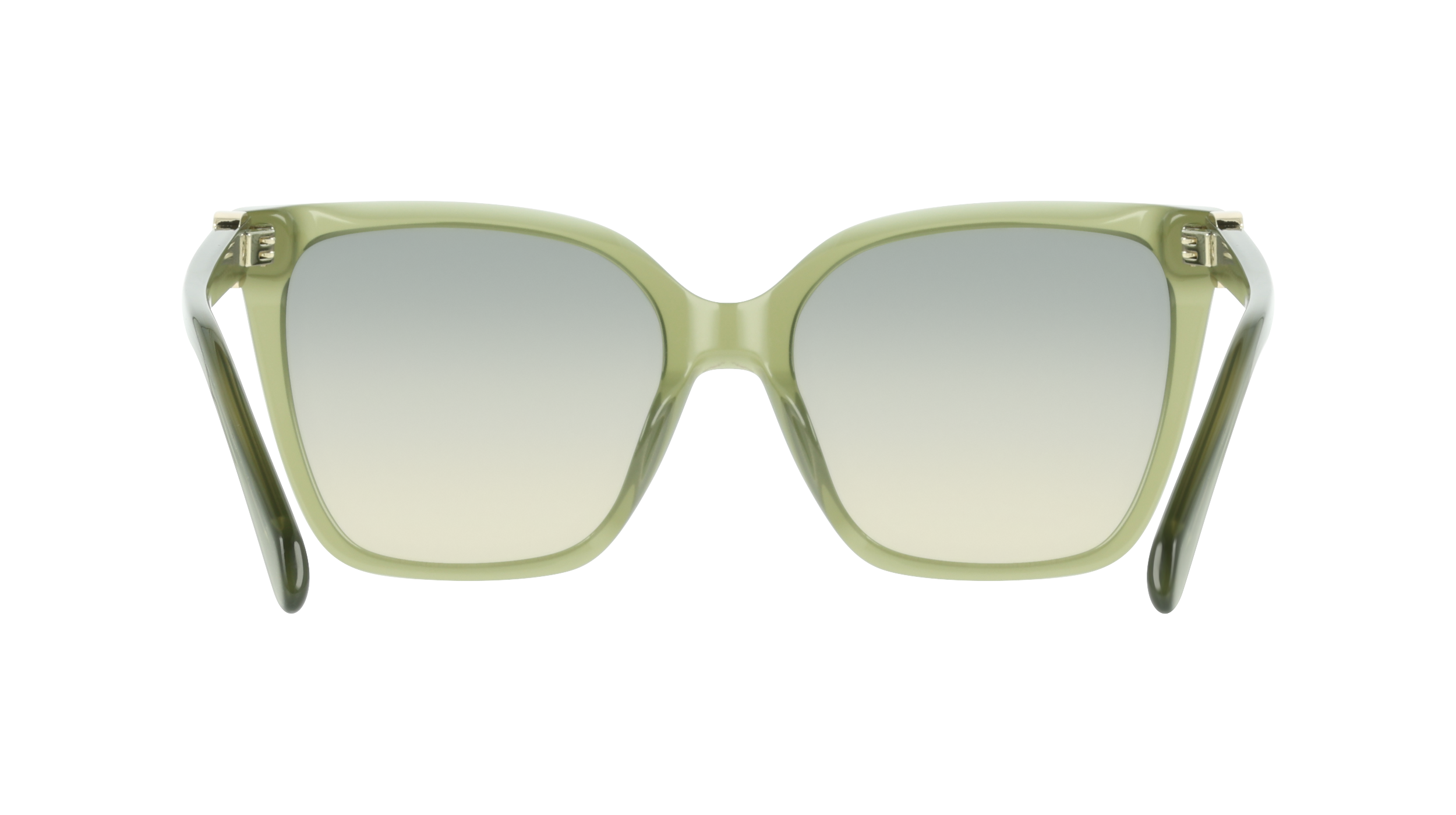 Ferragamo SF2121S 333