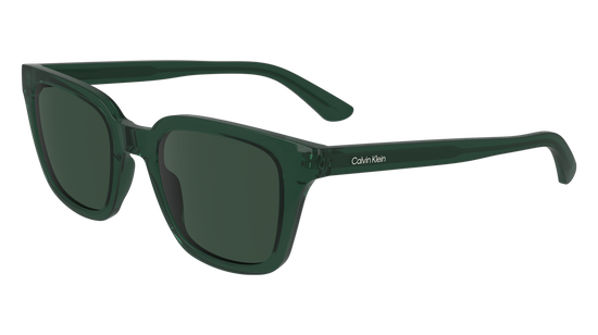 CALVIN KLEIN Sunglasses CK24506S 300 49