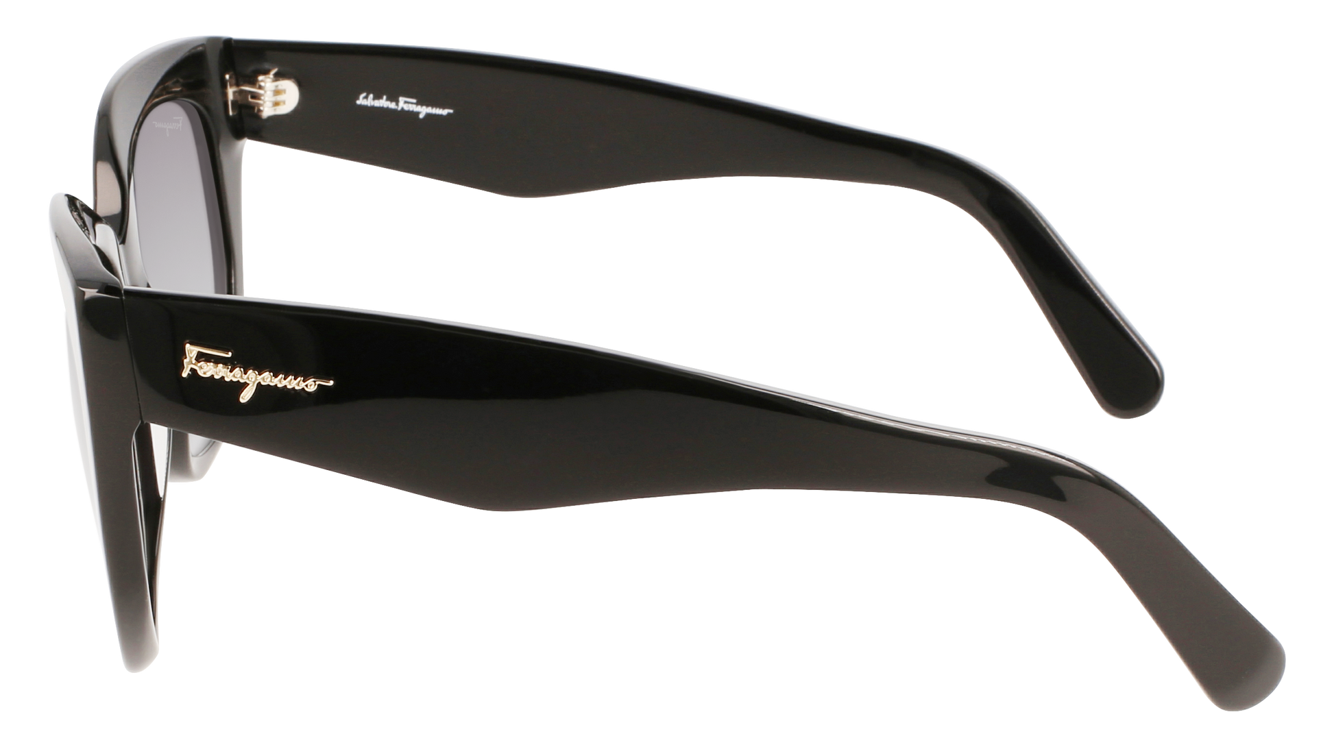 FERRAGAMO Sunglasses SF1061S 1 56