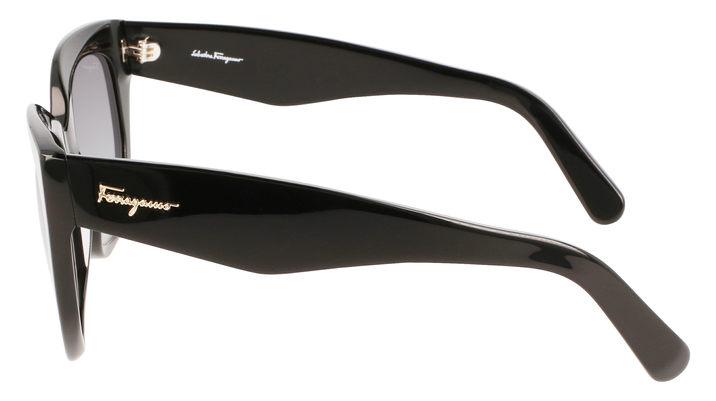 FERRAGAMO Sunglasses SF1061S 1 56