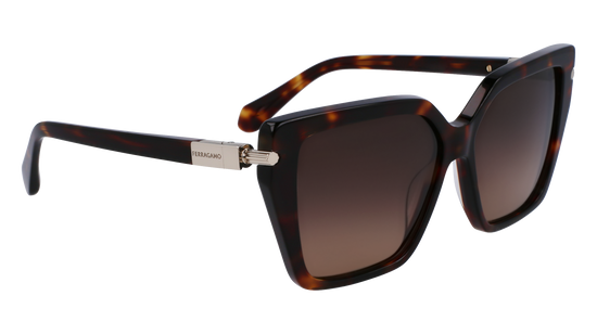 FERRAGAMO Sunglasses SF1106S 242 57