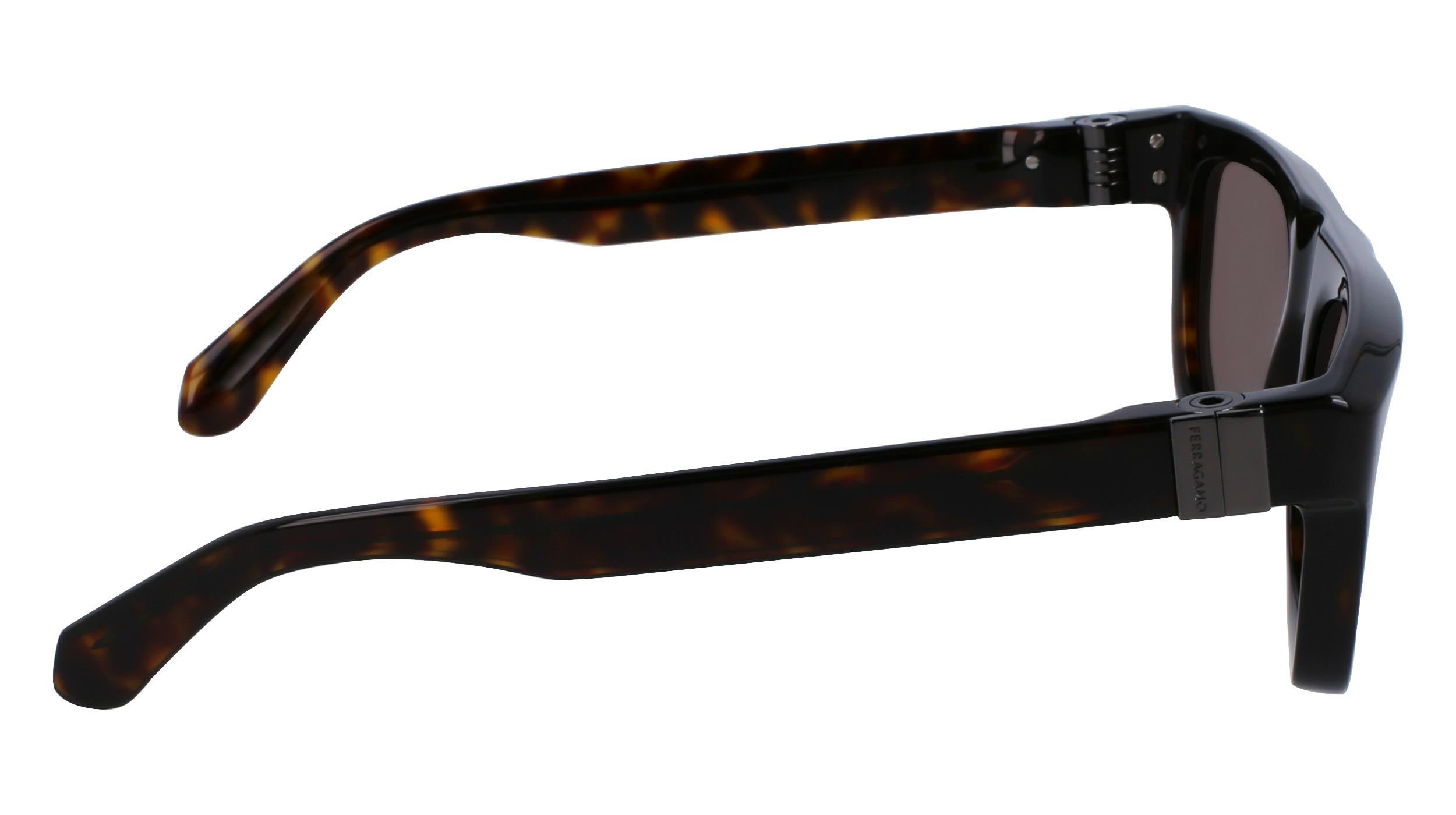 FERRAGAMO Sunglasses SF2009S 242 56