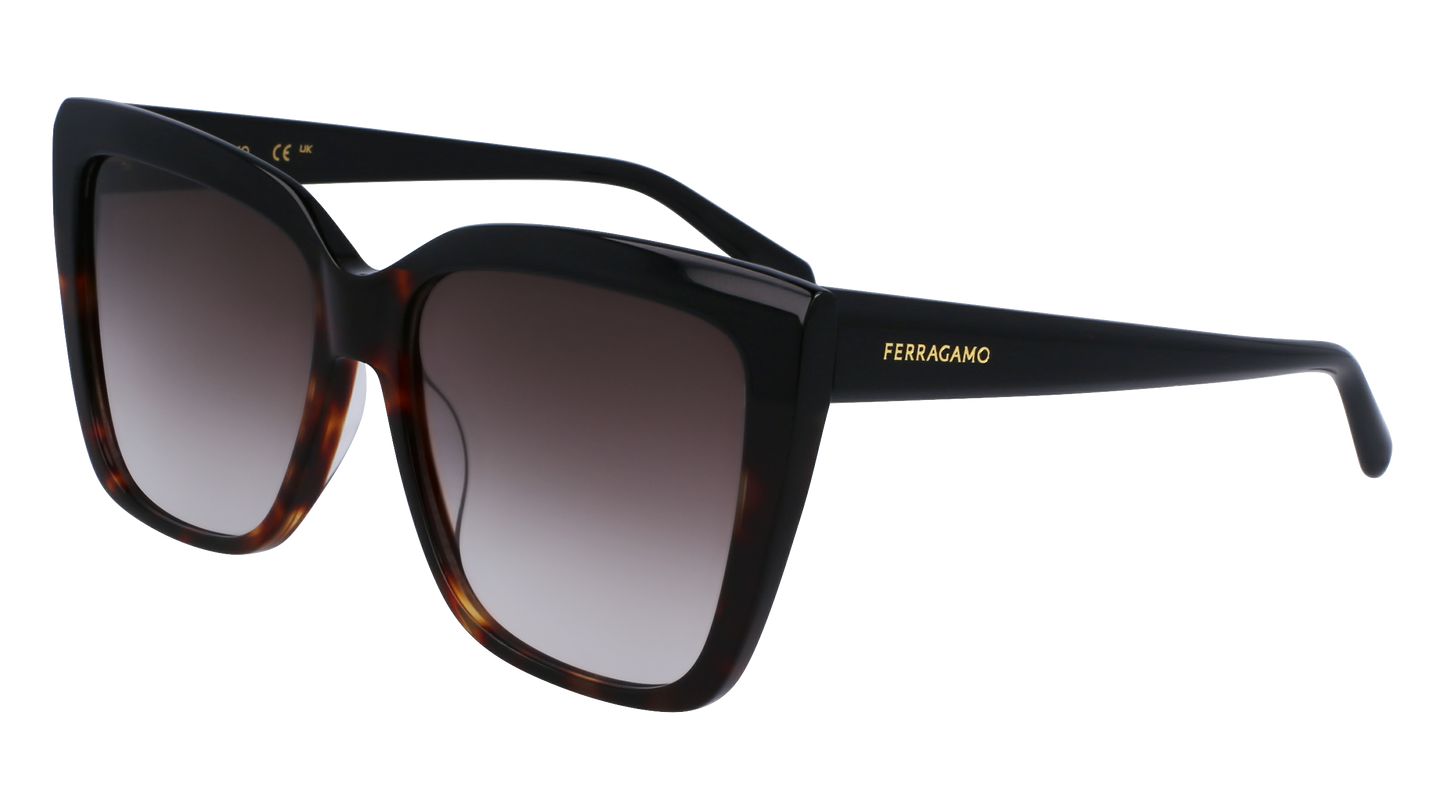 FERRAGAMO Sunglasses SF1102S 6 58