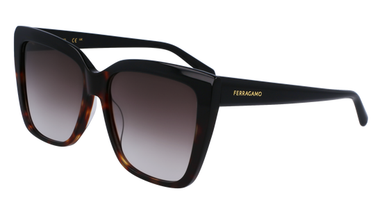 FERRAGAMO Sunglasses SF1102S 6 58