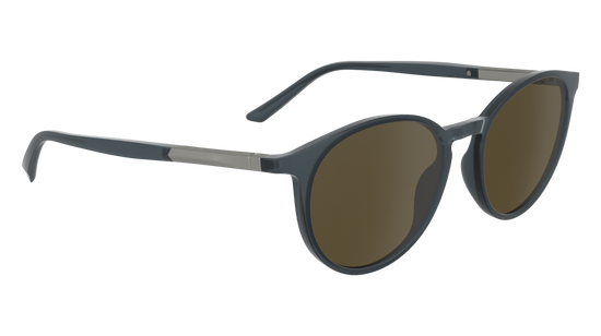 CALVIN KLEIN Sunglasses CK24539S 413 53