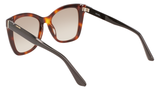 CALVIN KLEIN Sunglasses CK22530S 220 53