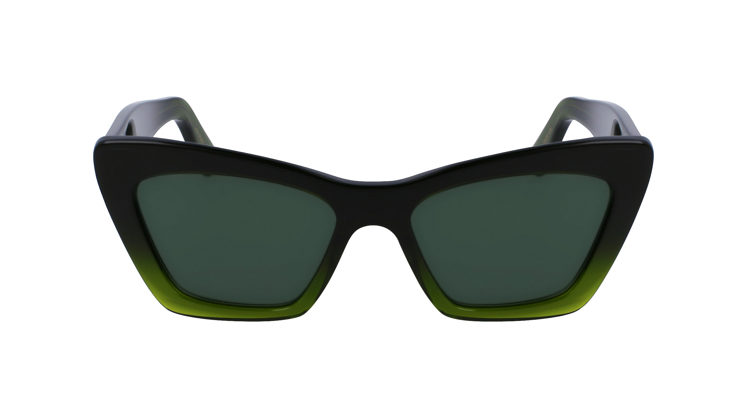 FERRAGAMO Sunglasses SF929SN 316 55