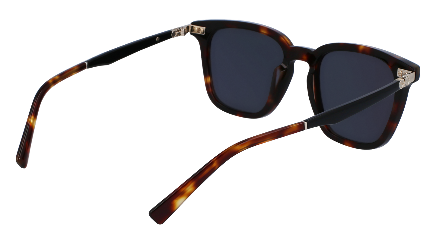 FERRAGAMO Sunglasses SF1100S 242 52