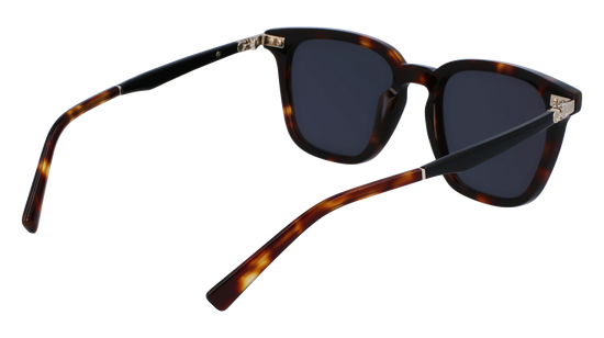 FERRAGAMO Sunglasses SF1100S 242 52