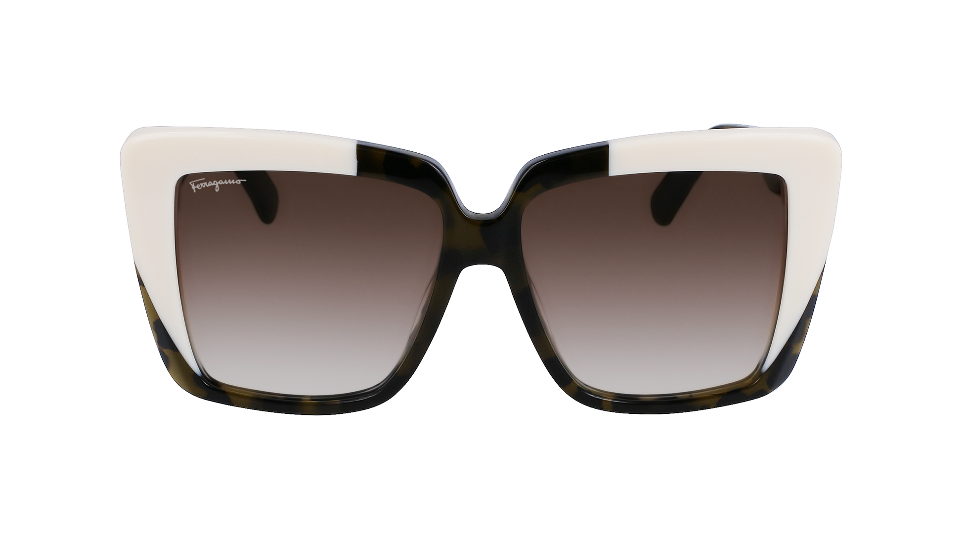 FERRAGAMO Sunglasses SF1060S 341 55