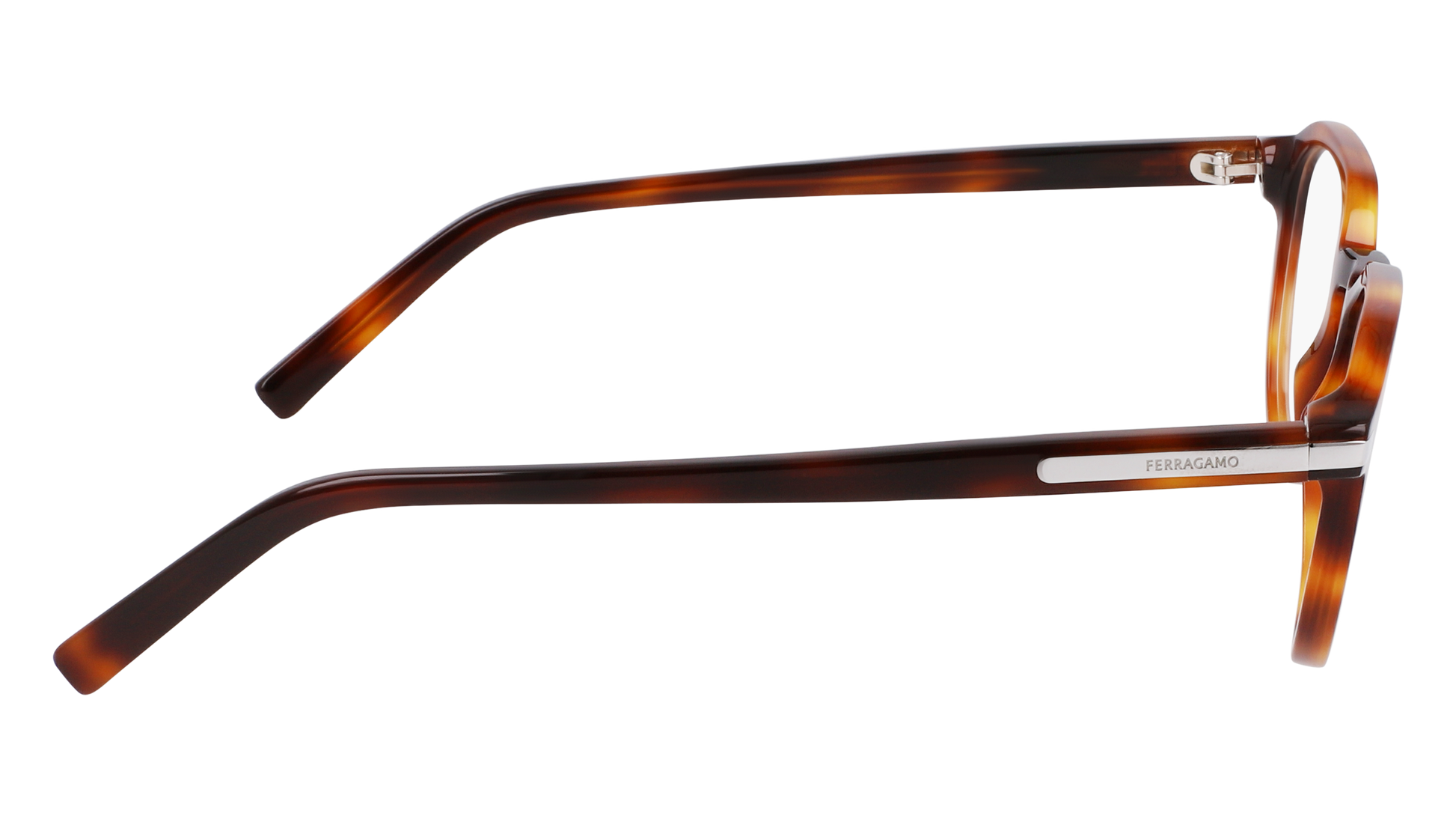 FERRAGAMO Eyeglasses SF2955N 240 51