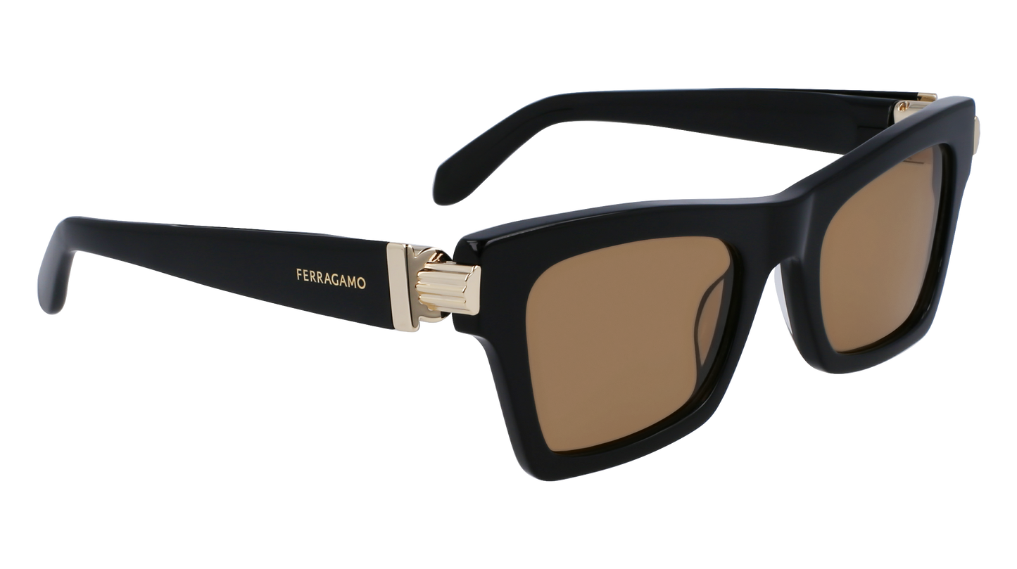 FERRAGAMO Sunglasses SF2013S 11 52