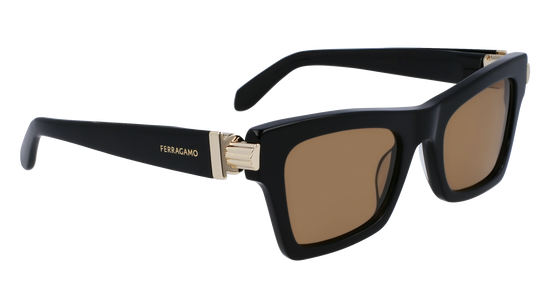 FERRAGAMO Sunglasses SF2013S 11 52