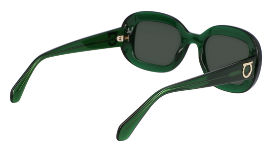 FERRAGAMO Sunglasses SF2038SE 317 51