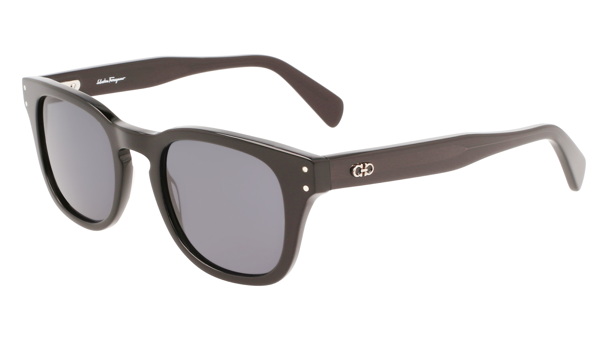 FERRAGAMO Sunglasses SF1057S 1 49