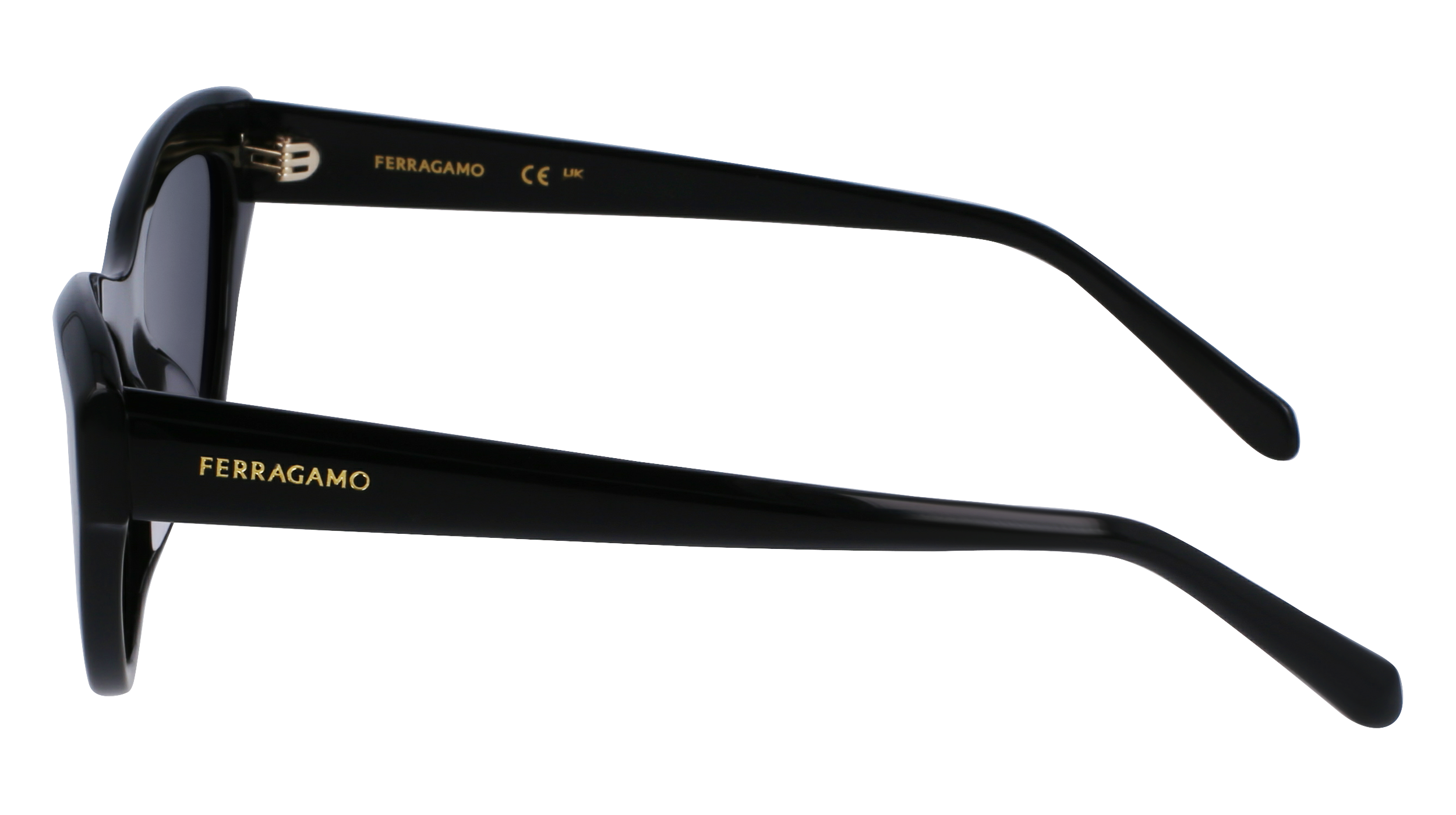 FERRAGAMO Sunglasses SF1103S 1 55