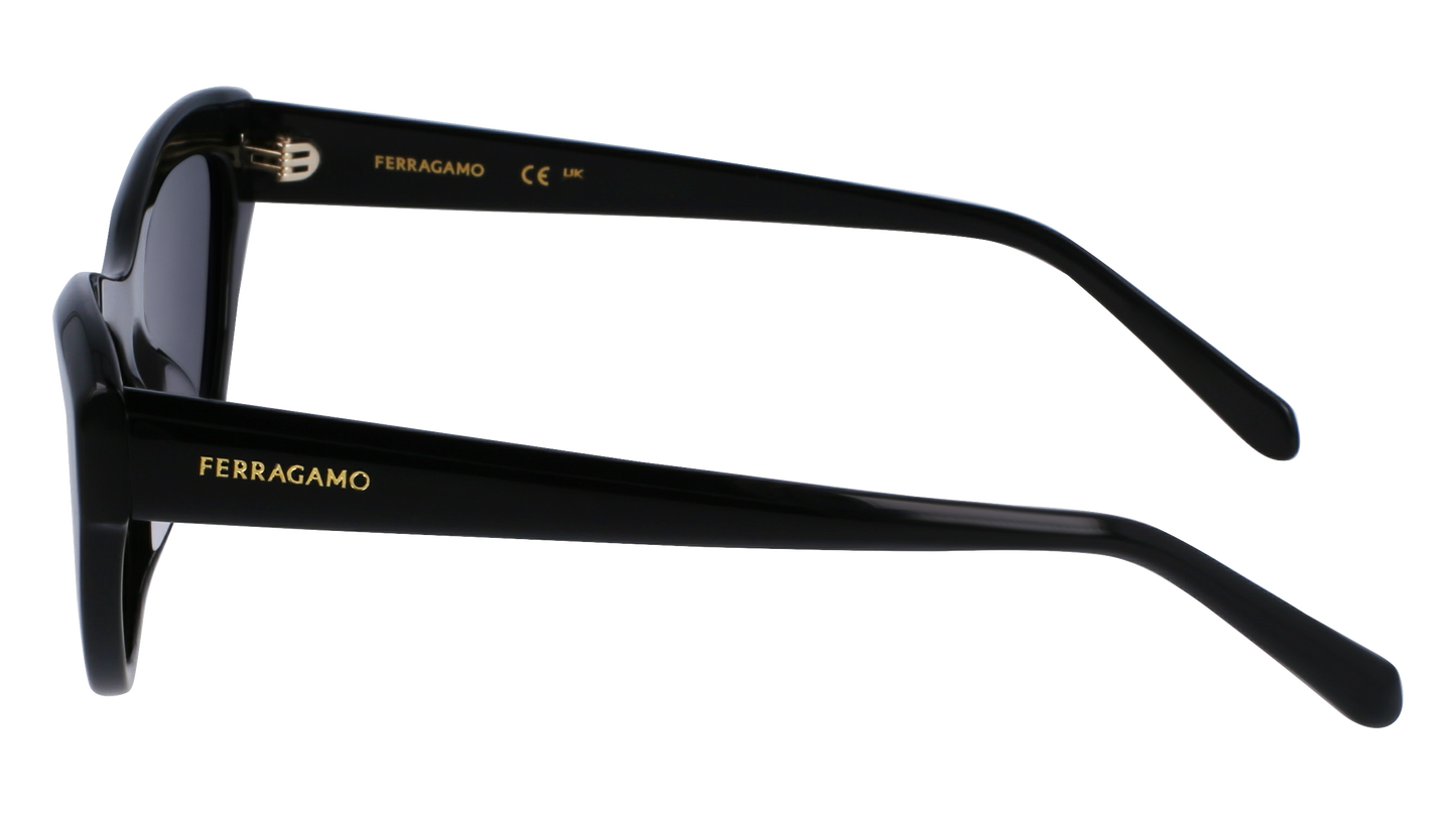 FERRAGAMO Sunglasses SF1103S 1 55