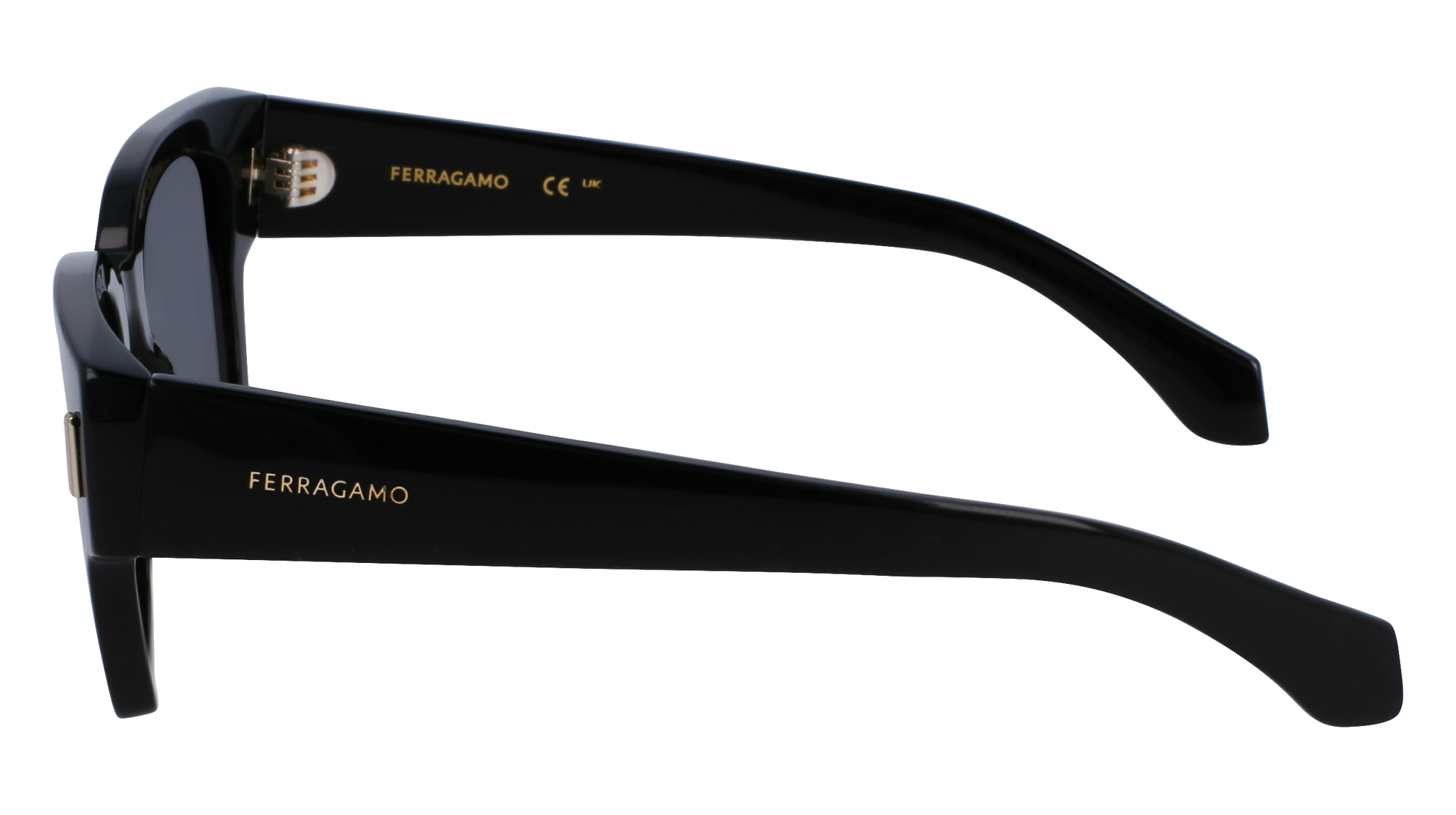 FERRAGAMO Sunglasses SF2010S 1 52