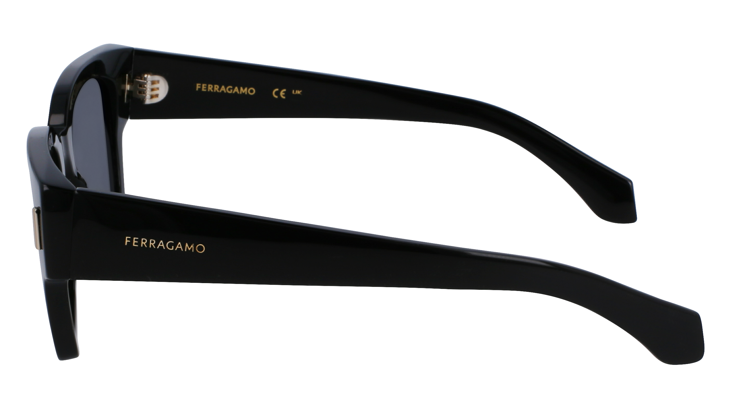 FERRAGAMO Sunglasses SF2010S 1 52