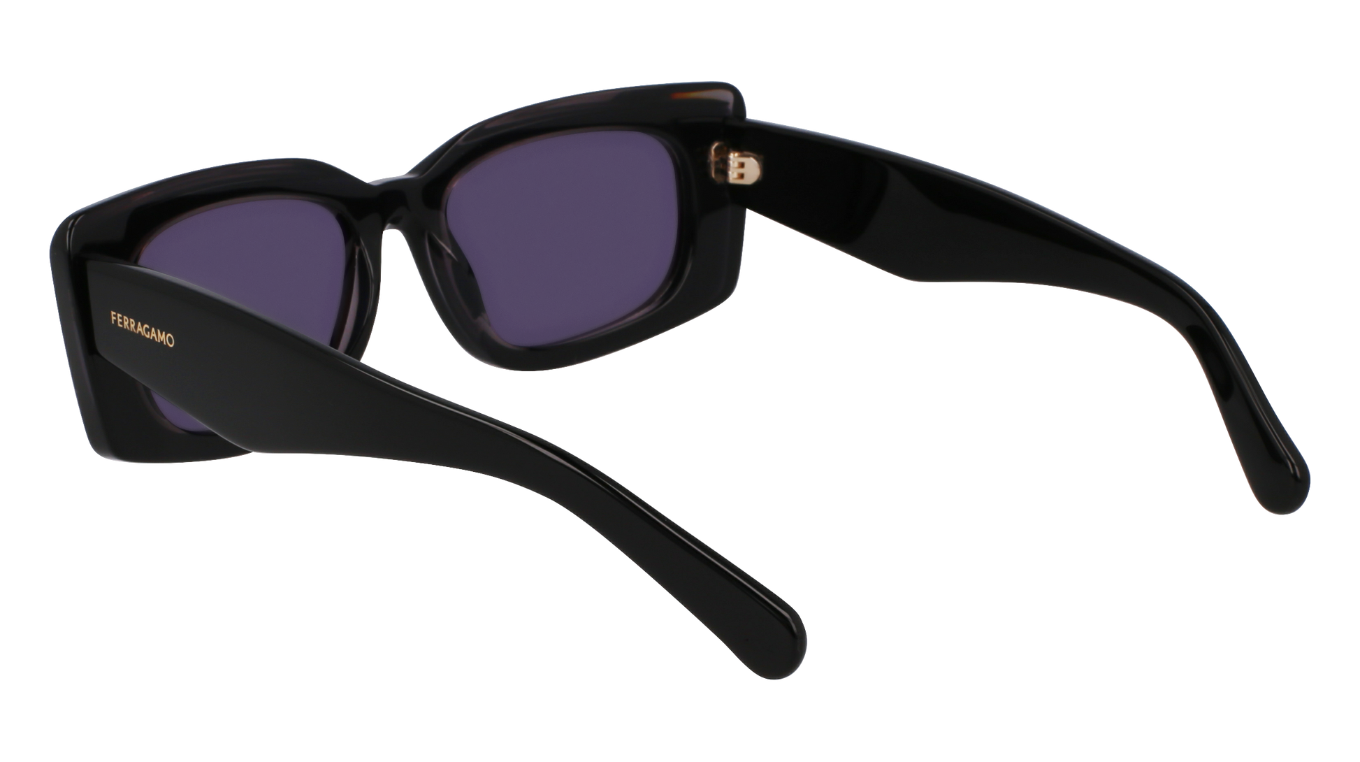FERRAGAMO Sunglasses SF1079SN 22 54