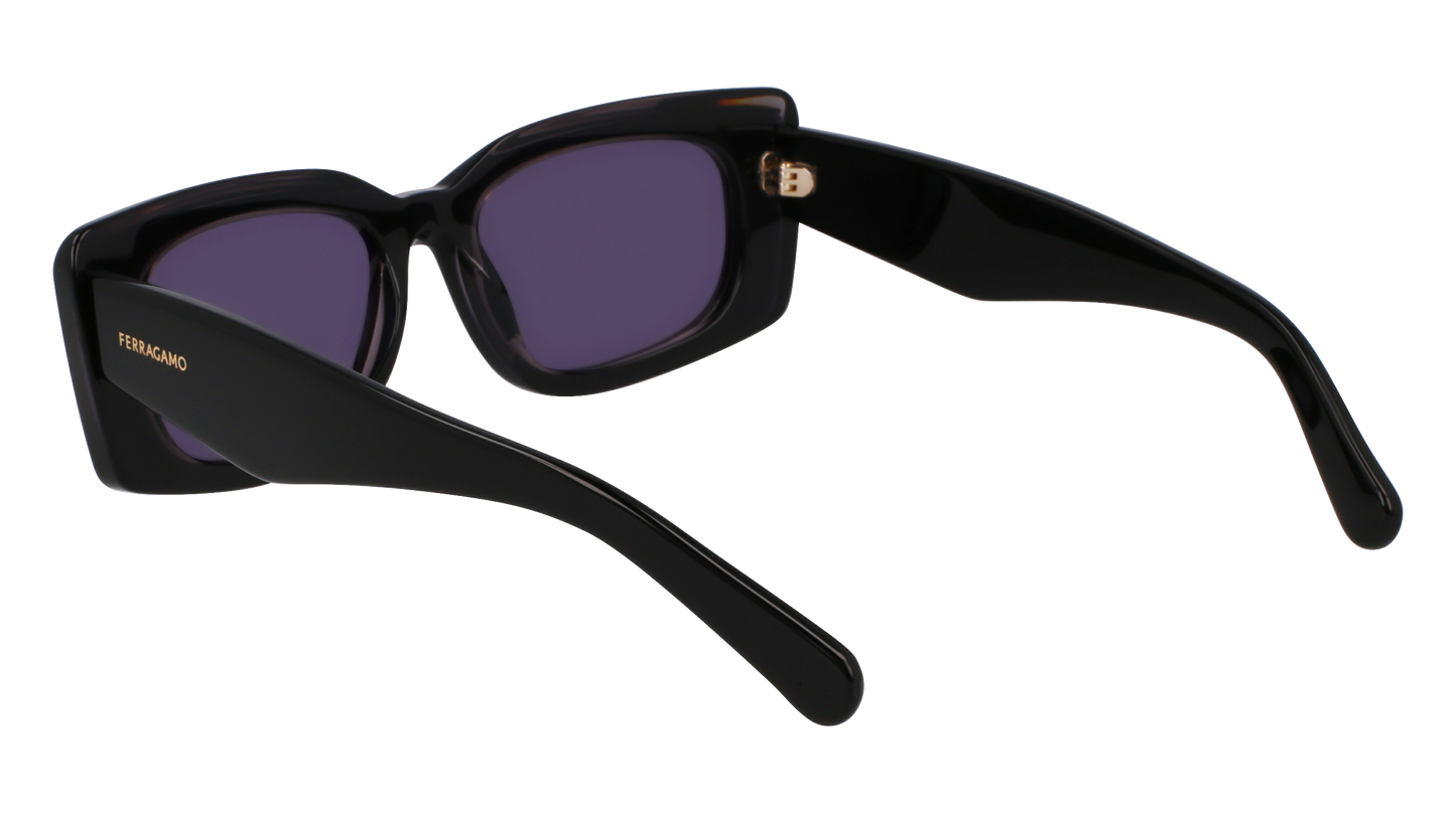 FERRAGAMO Sunglasses SF1079SN 22 54