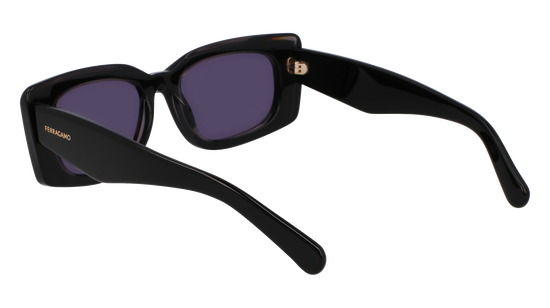 FERRAGAMO Sunglasses SF1079SN 22 54