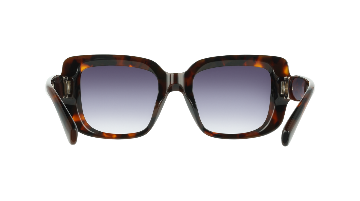 Ferragamo SF2117S 240