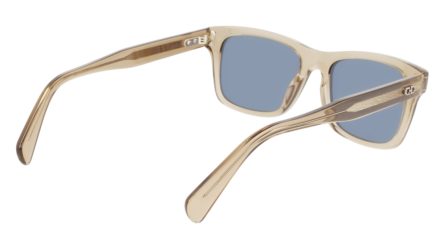 FERRAGAMO Sunglasses SF1039S 278 54