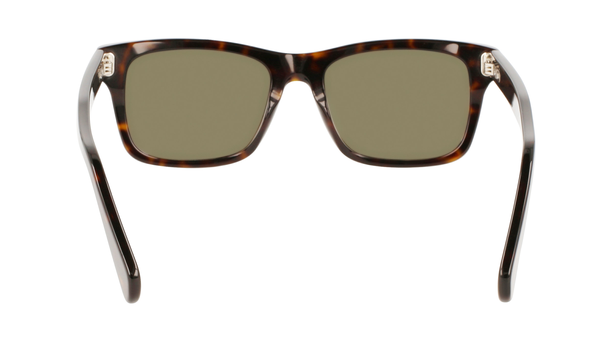 FERRAGAMO Sunglasses SF1039S 240 54