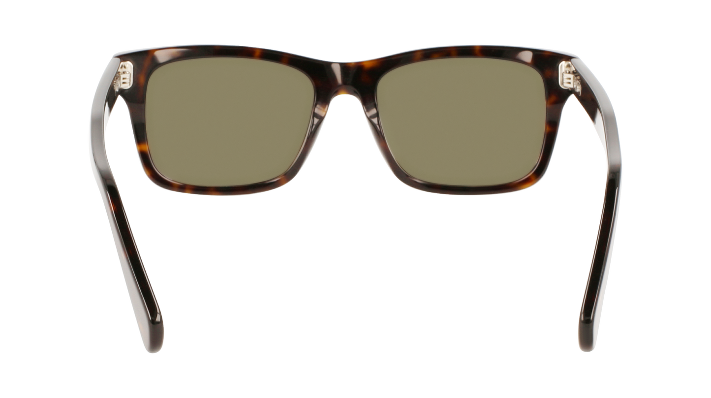 FERRAGAMO Sunglasses SF1039S 240 54