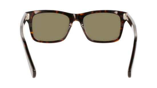 FERRAGAMO Sunglasses SF1039S 240 54