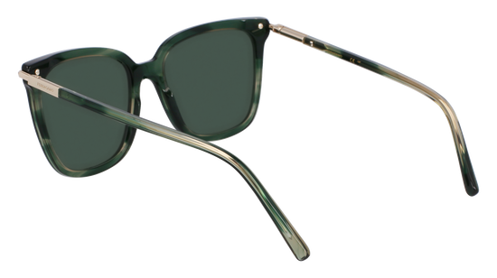 FERRAGAMO Sunglasses SF2037S 315 56