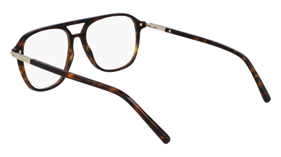 FERRAGAMO Eyeglasses SF3006 242 56