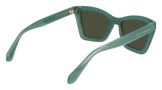 FERRAGAMO Sunglasses SF2039SE 339 53