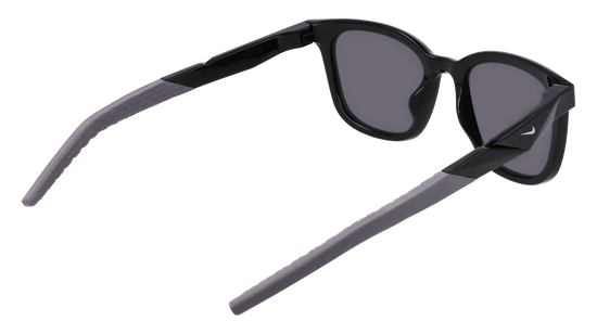 NIKE Sunglasses NIKE RADEON 2 FV2405 10 52