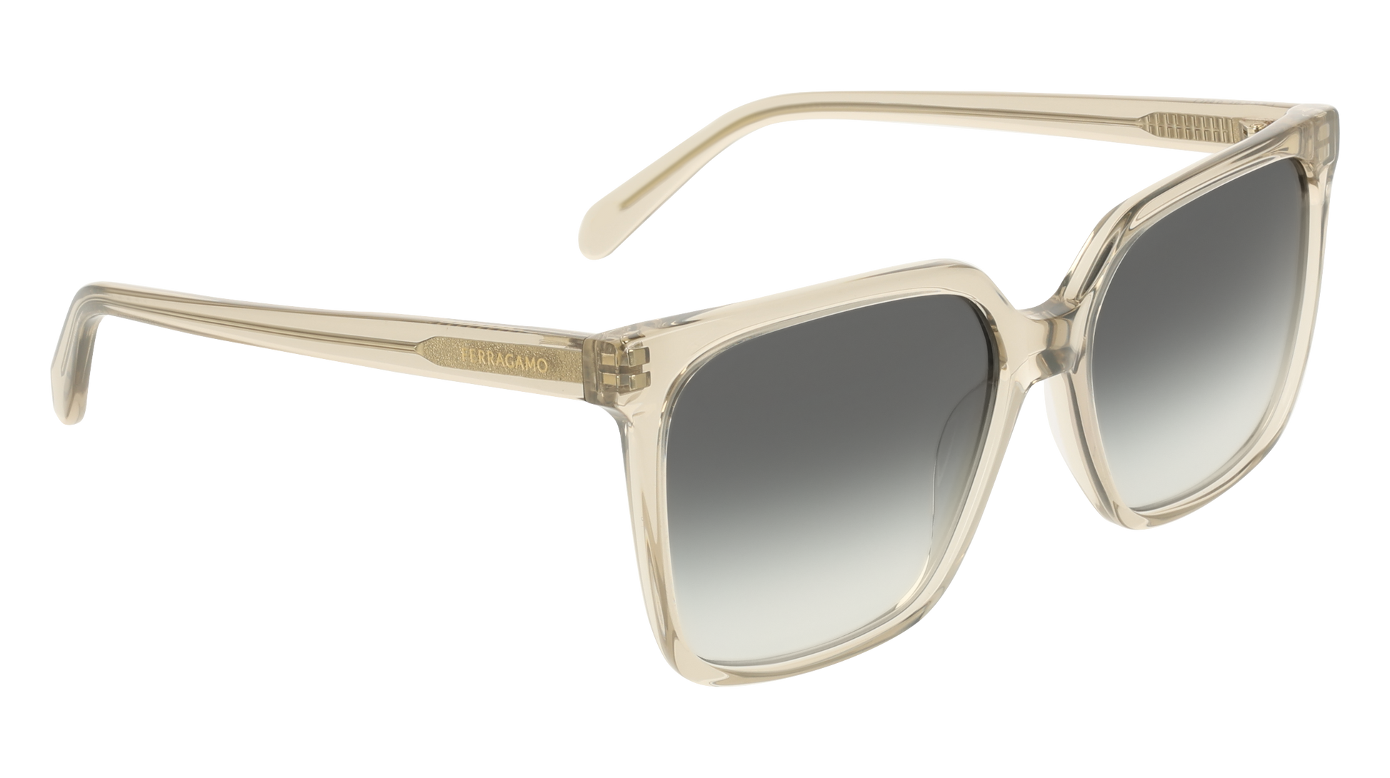 Ferragamo SF2102S 313
