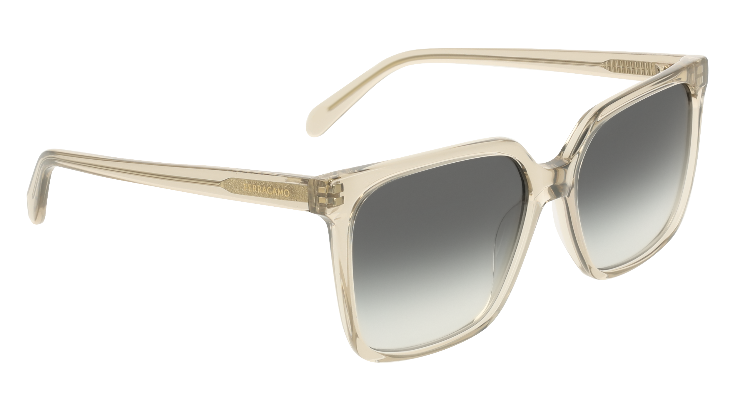 Ferragamo SF2102S 313