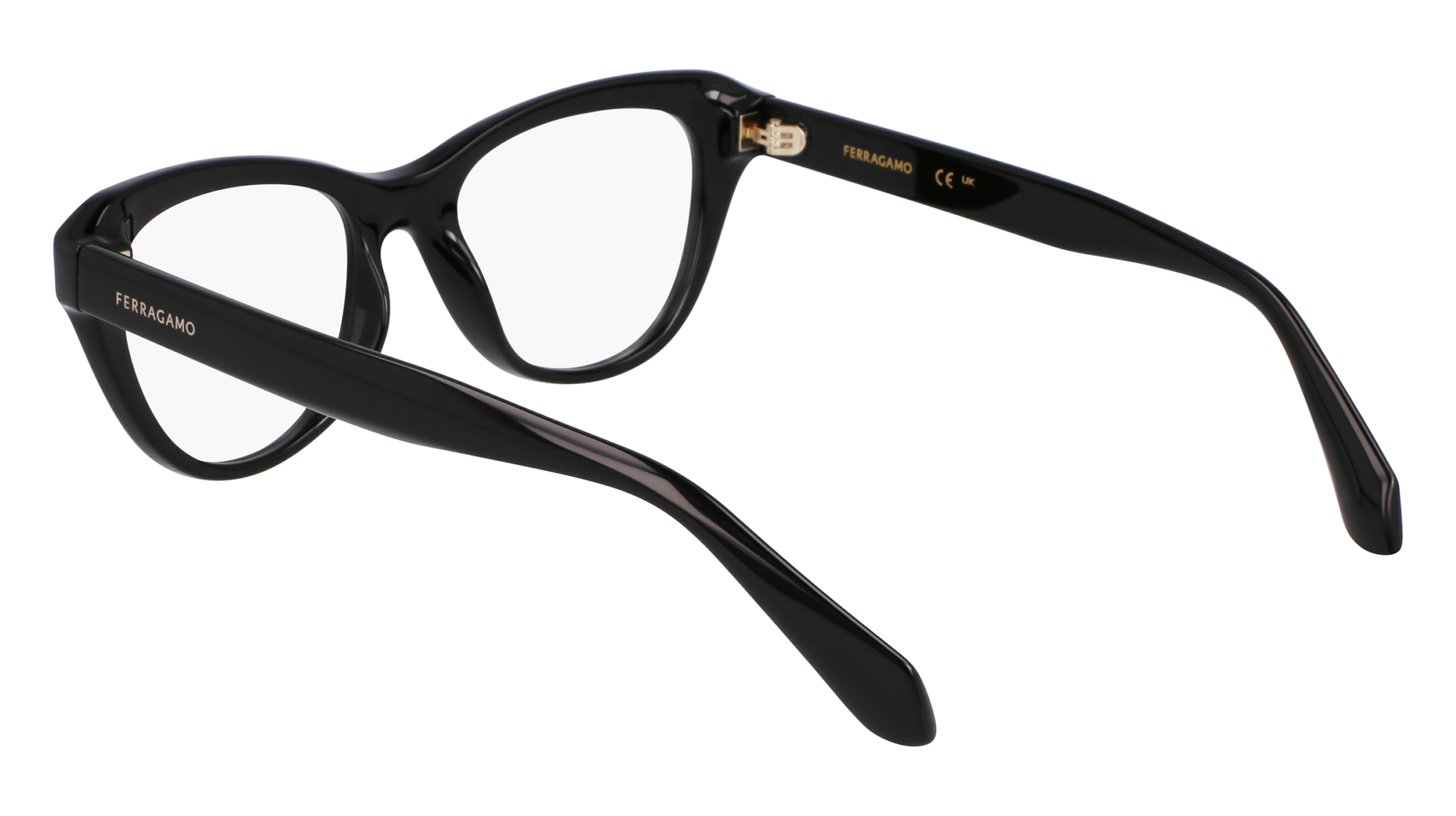 FERRAGAMO Eyeglasses SF2989E 1 51