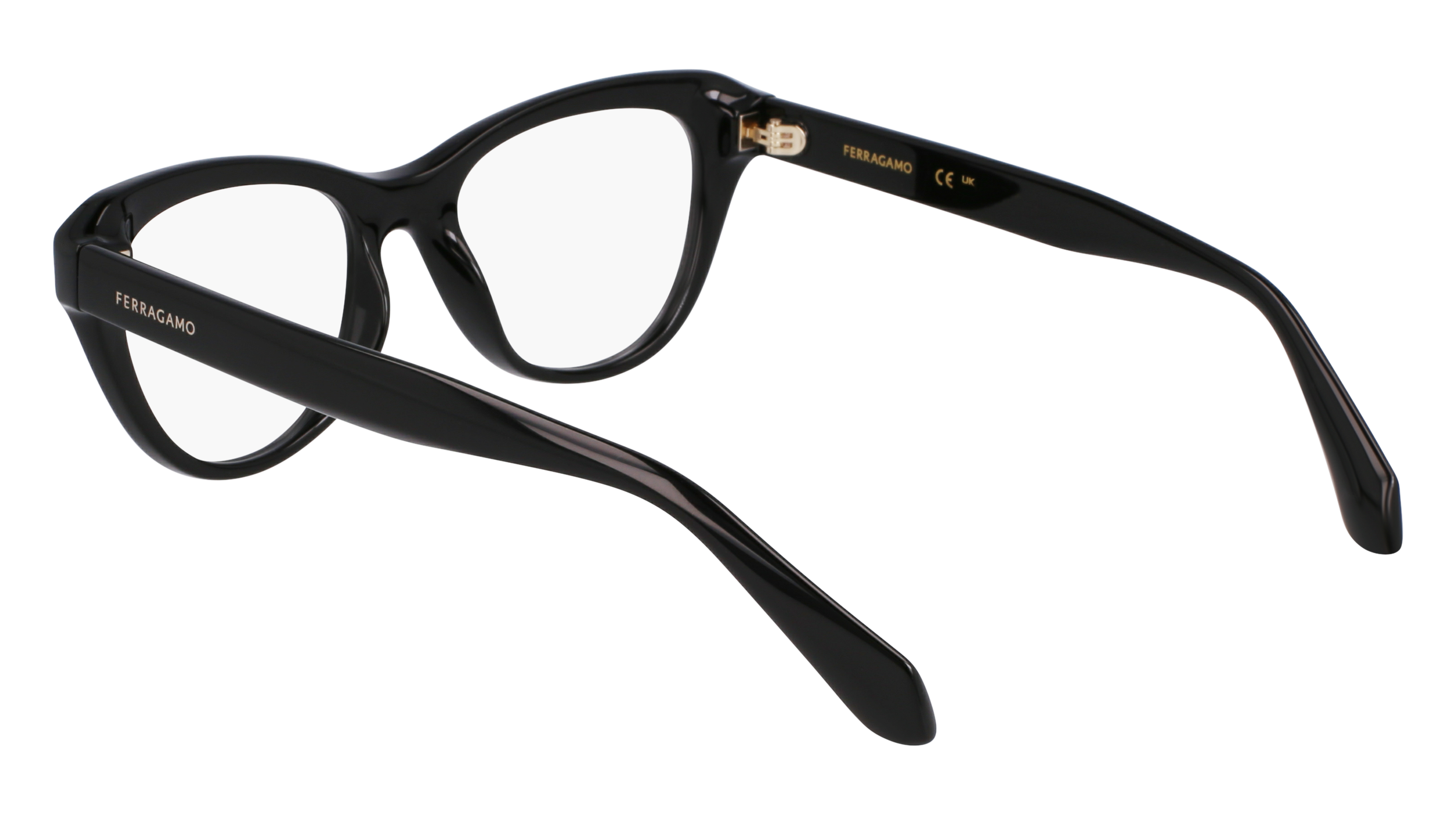 FERRAGAMO Eyeglasses SF2989E 1 51