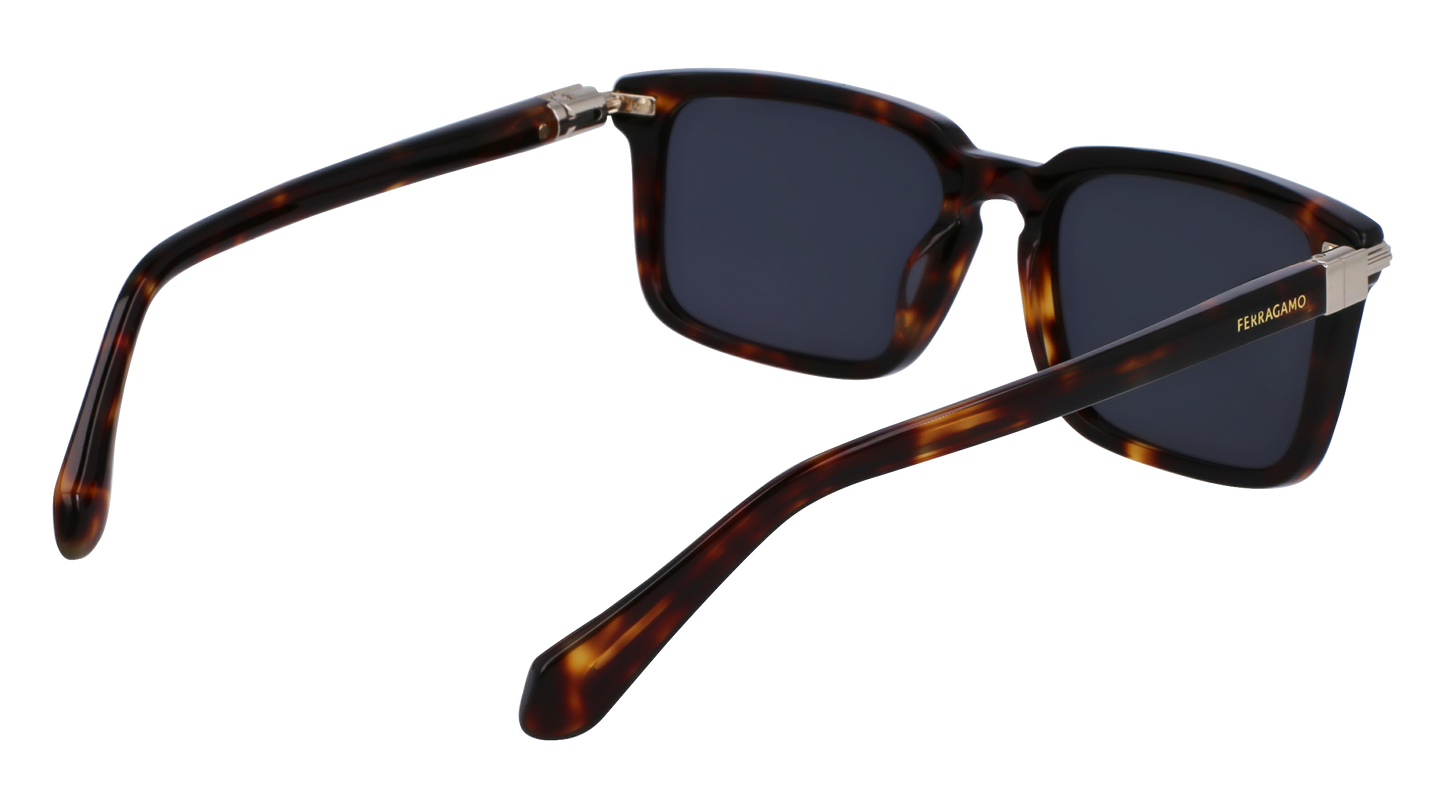 FERRAGAMO Sunglasses SF1110S 242 56