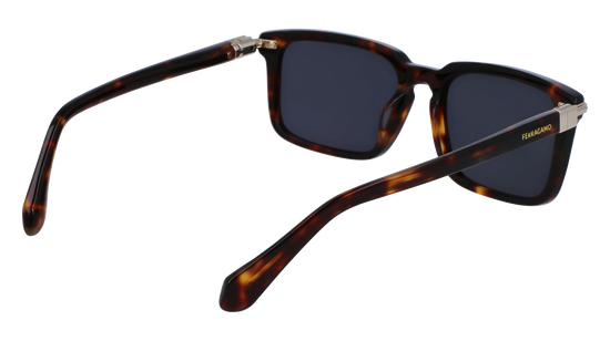 FERRAGAMO Sunglasses SF1110S 242 56