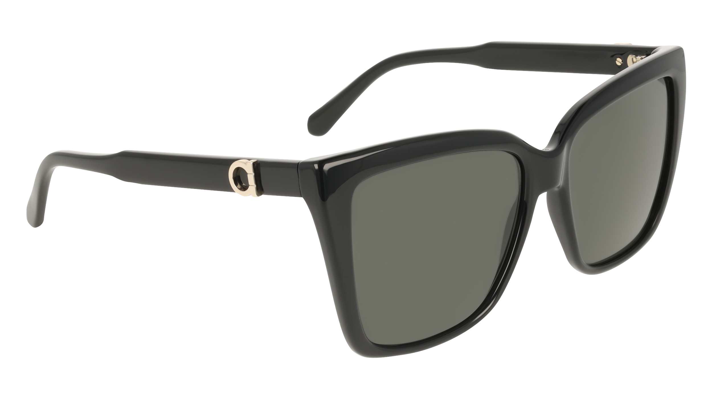 Ferragamo SF2085SE 1