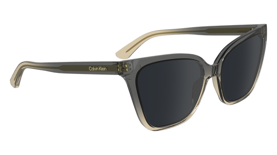 CALVIN KLEIN Sunglasses CK24507S 39 57